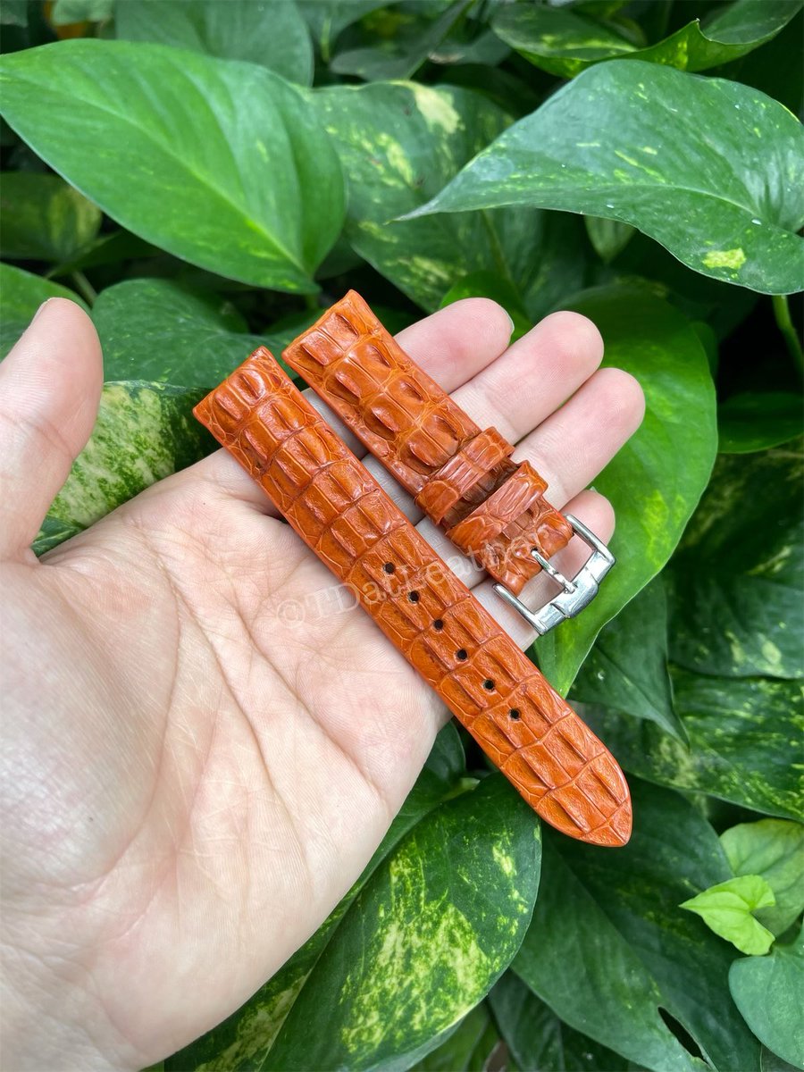 datstraps's tweet image. Straps and more #crocodile #Hornback #Leatherstrap