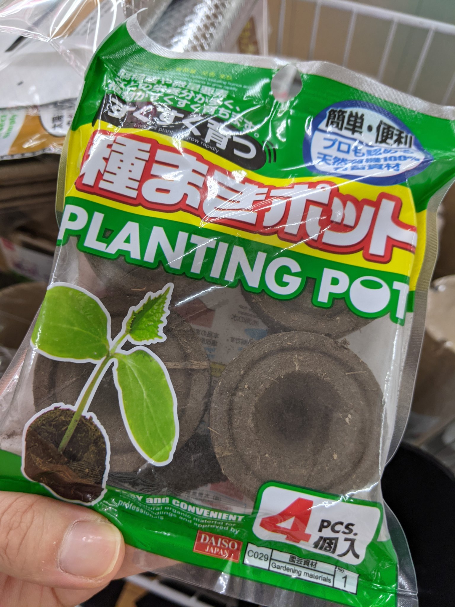 まりねガーデナー 21 10 08 ダイソー観葉植物レポ ダイソー都内大型店の光が丘店の園芸コーナーご紹介 多肉 観葉 植物コーナーには 珍しい花きりんや十二の巻など 観葉植物ゴムの木系がなかったです 練馬園芸店レポ ダイソー Daiso 観葉植物