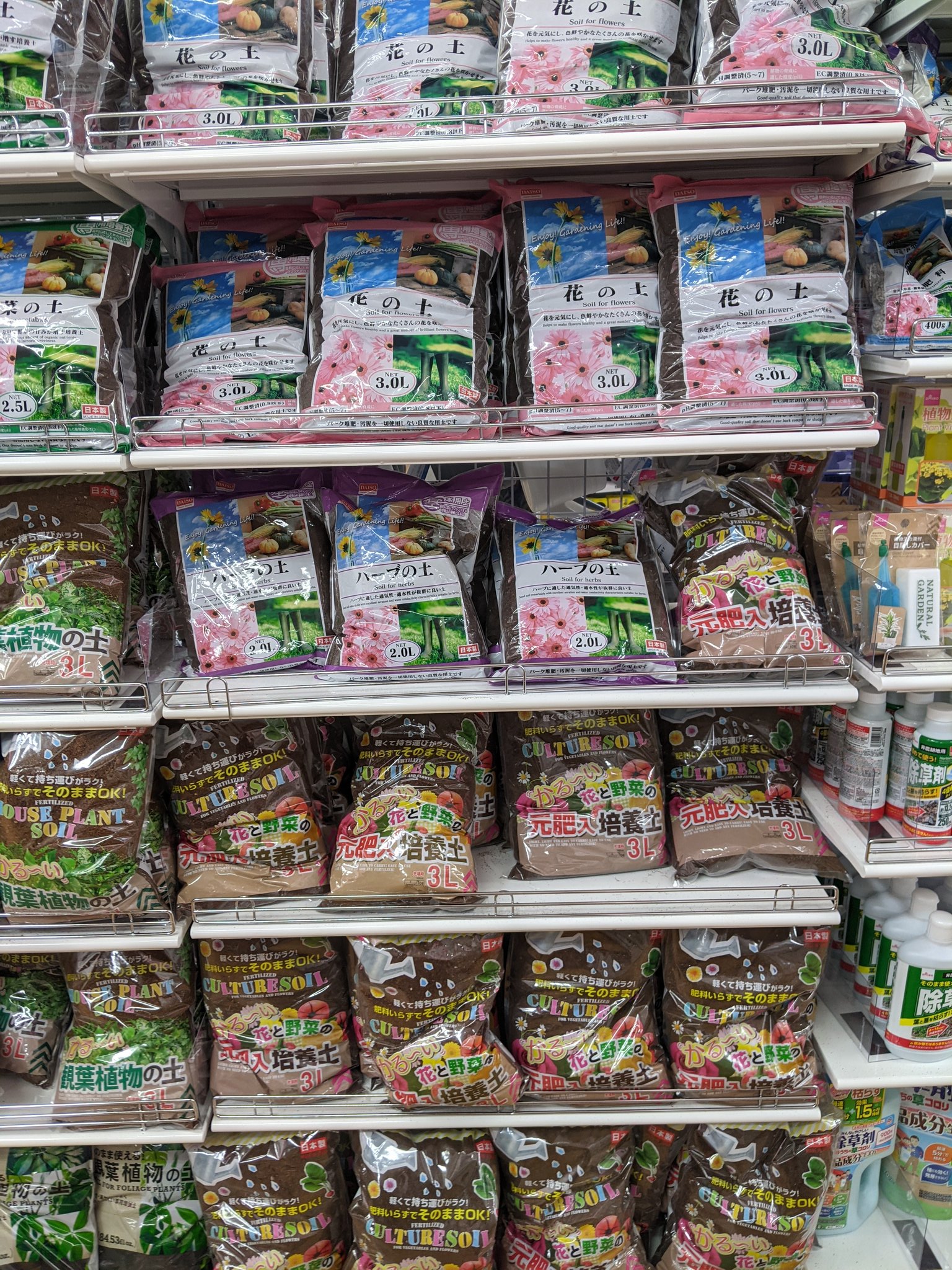 園芸ちゃん Auf Twitter 21 10 08 ダイソー観葉植物レポ ダイソー都内大型店の光が丘店の園芸コーナーご紹介 多肉 観葉植物コーナーには 珍しい花きりんや十二の巻など 観葉植物ゴムの木系がなかったです 練馬園芸店レポ ダイソー Daiso 観葉植物 多肉