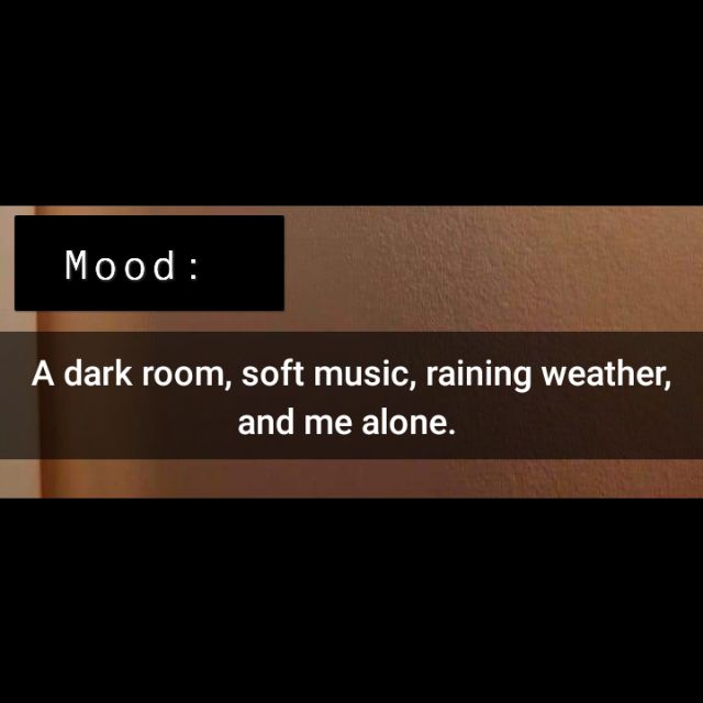 deville_zin's tweet image. 