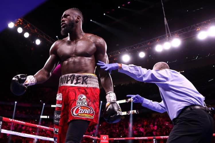 IHCoinofficial's tweet photo. A great fight between 2 champions! Big respect for @BronzeBomber! He never gave up.

You can bounce back even stronger. A warrior never breaks down. 
#IHC https://t.co/mhN2NactXK