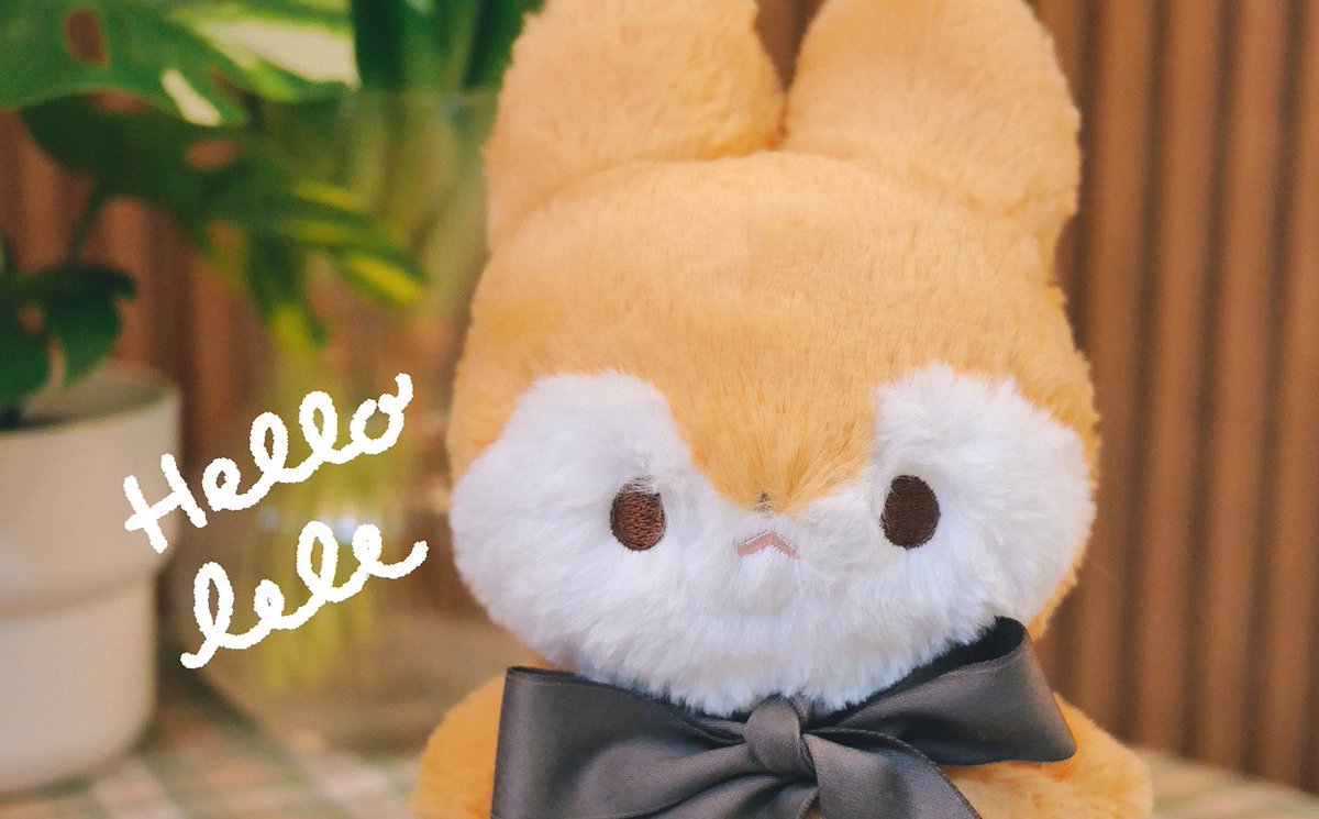 acooroom's tweet photo. hello! I’m LELE🦊 

레레는 10월말~11월초 텀블벅에서 오픈,
후후루리 일반판매는 다음주 예정이에요☺️ https://t.co/bkTn6KvFKs