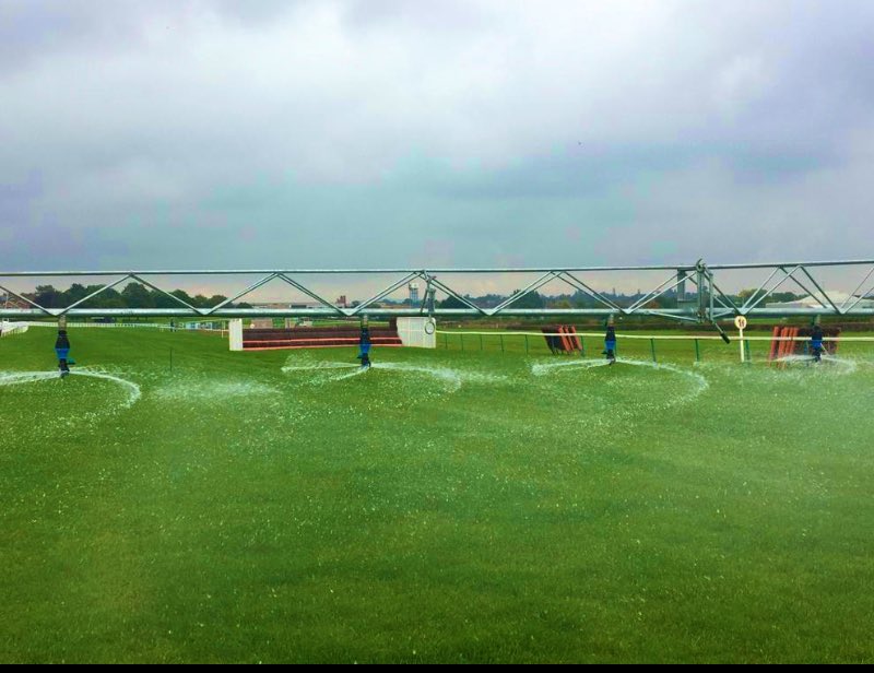 Official Going <a href="/HerefordRaces/">Hereford Racecourse</a> for declarations 🌱GOOD to FIRM (C:6.3 H:6.6)🌱 watering to maintain. Forecast dry and sunny today 17C. 🐎#herefordraces #Jumpracing