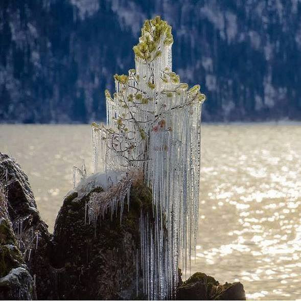 Sajoka Sajoka (@zamansj64) on Twitter photo 