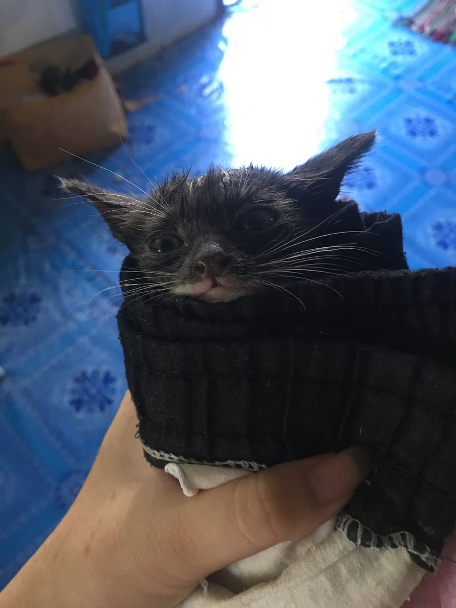 อาบน้ำงับ