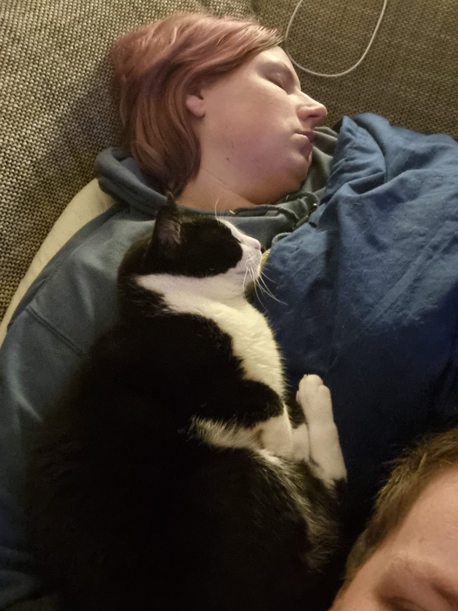 arieferarrie's tweet photo. Zo kat, zo baasje😂 https://t.co/CmsokbqreP
