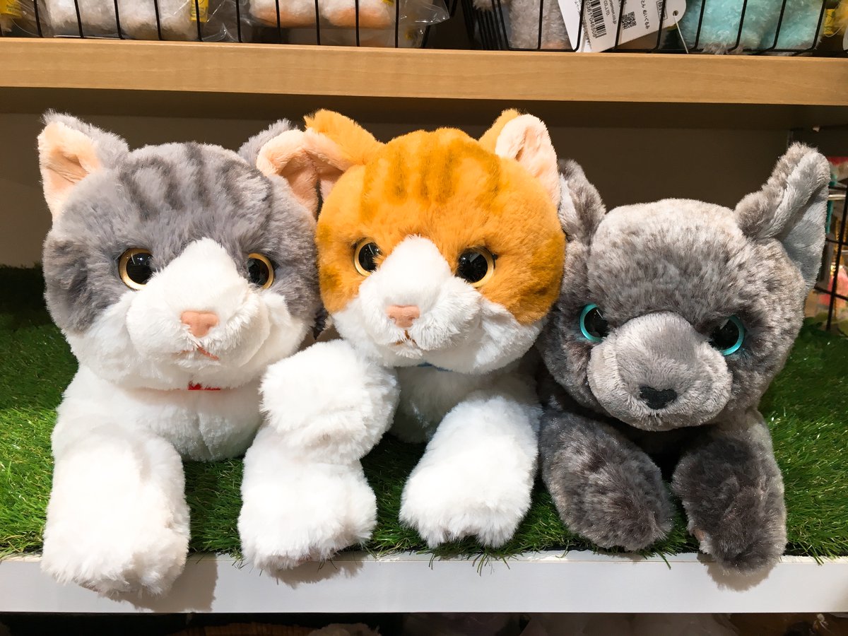 れめゐろぬささん専用 Zoff｜JOURNAL STANDARD relume(調光レンズ搭載)(WEB限定商品