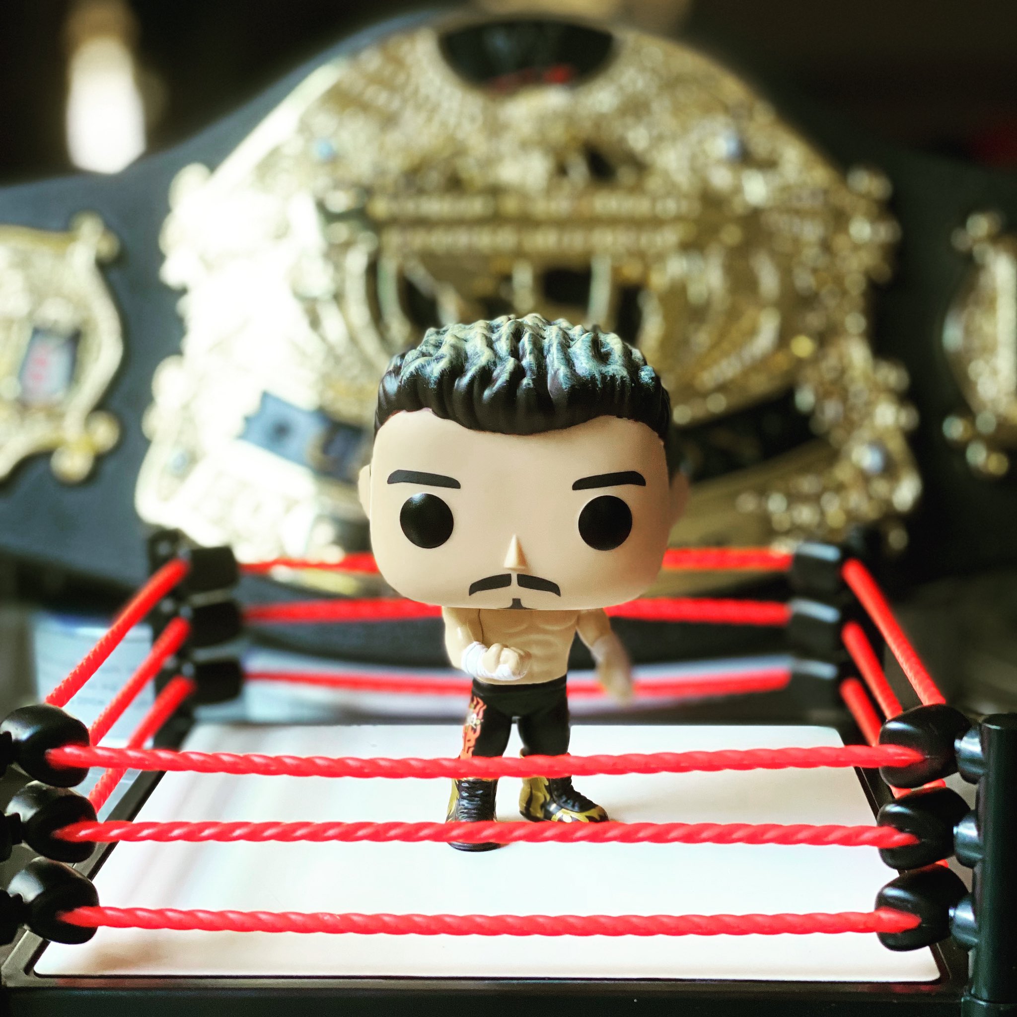 VIVA LA RAZA!

Happy birthday to the late, great Eddie Guerrero!     