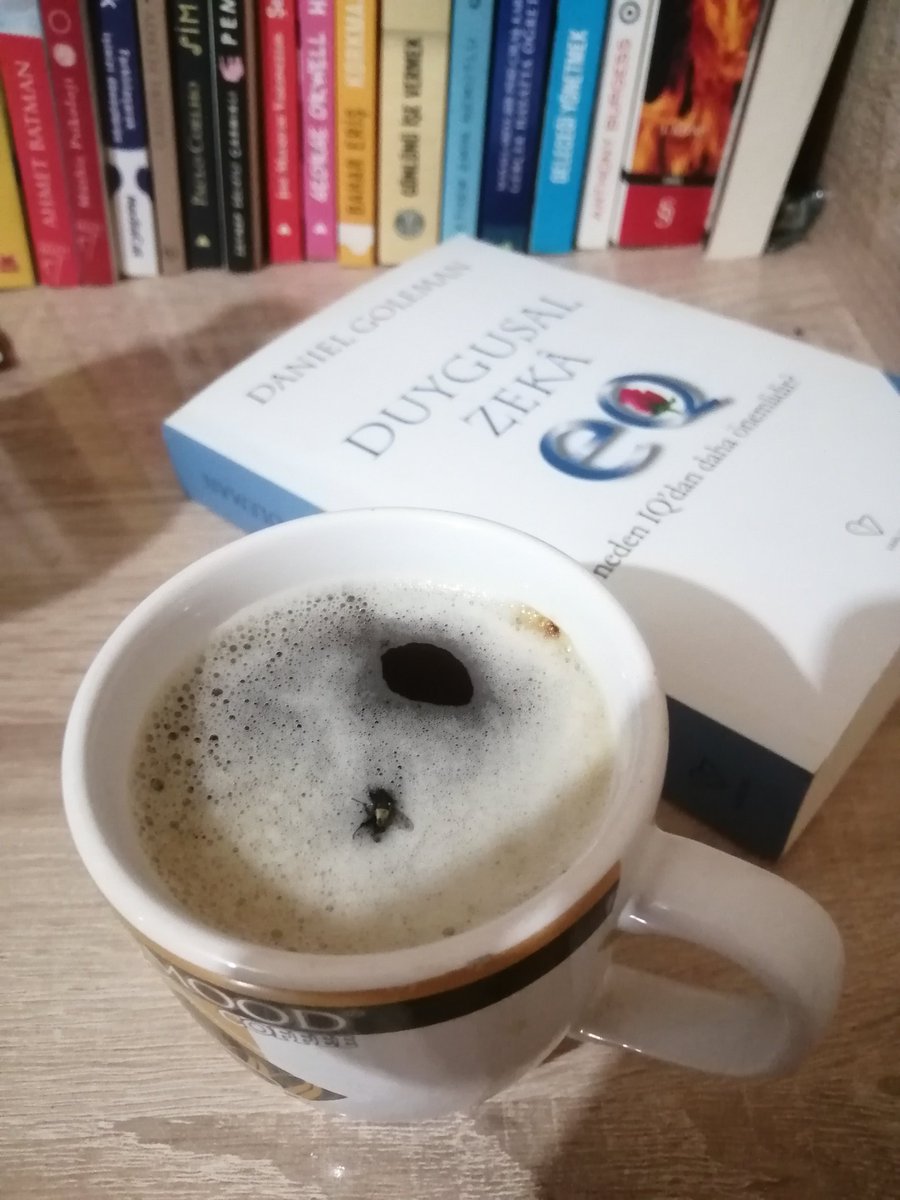 Kahvemin içine sinek düştü, ben kahvemi içemiyorum o da öldü zaten. Bazen herkes kaybeder anlatabiliyor muyum?