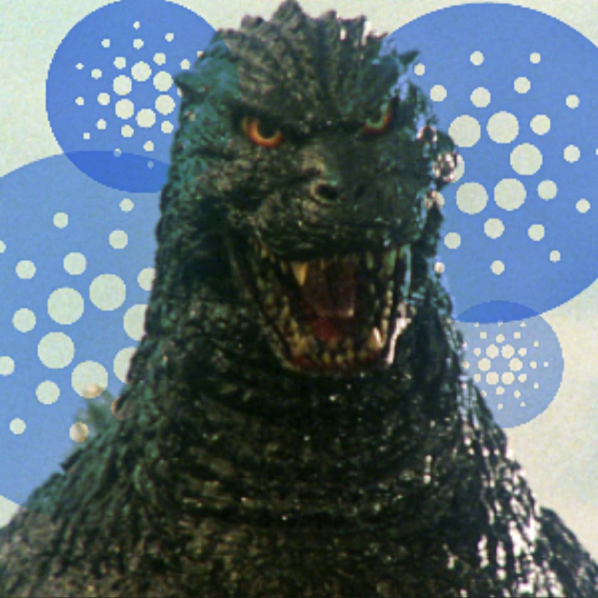 _CoinZiLLa_'s tweet photo. #NewProfilePic https://t.co/oX4aPpyGWe