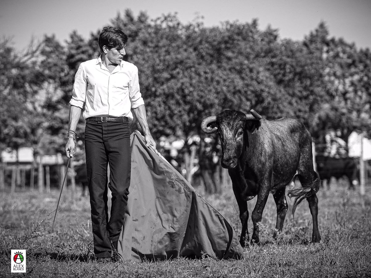 MaximeSoleraOf's tweet photo. •Adiós @ConchaySierra , buen viaje
•
📸 @alexandre_blanco
#campoabierto #retienta #vacasviejas #conchaysierra #maximesolera #torero #picoftheday https://t.co/Czv3XYb7Qb