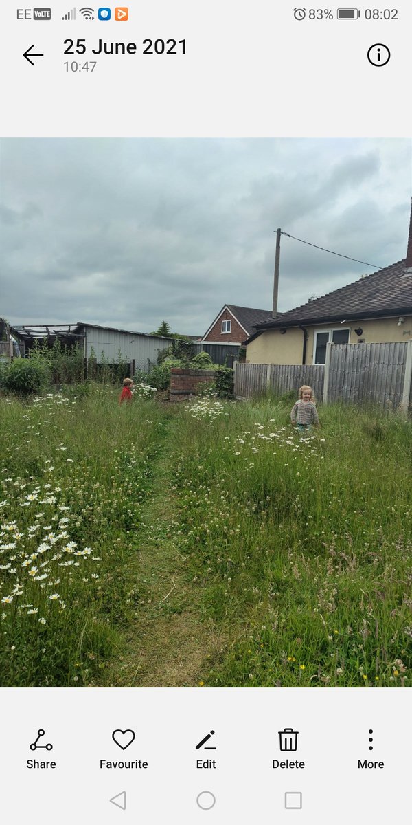 FfionH1's tweet photo. Yr ardd wedi cael ei ✂️ cyntaf ddoe ers Mis Mawrth. Y 🌺 gwyllt wedi cael cyfle i ddosbarthu eu hadau. Tasg heddiw, cael gwared o'r  toriadau 😎

First full ✂️ of our garden since March 2021. Wild 🌺's have set seed, look forward to next year. Today's job, goodbye cuttings 😎 https://t.co/YaWOZLqCoA