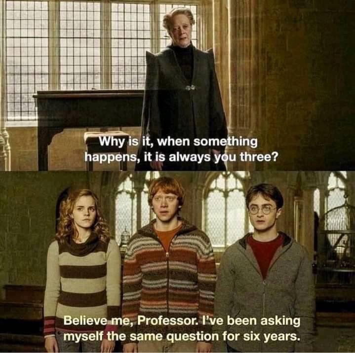 TheDailyHPotter's tweet photo. The Harry Potter films in a nutshell 😂 https://t.co/t5kgpoh9Sy