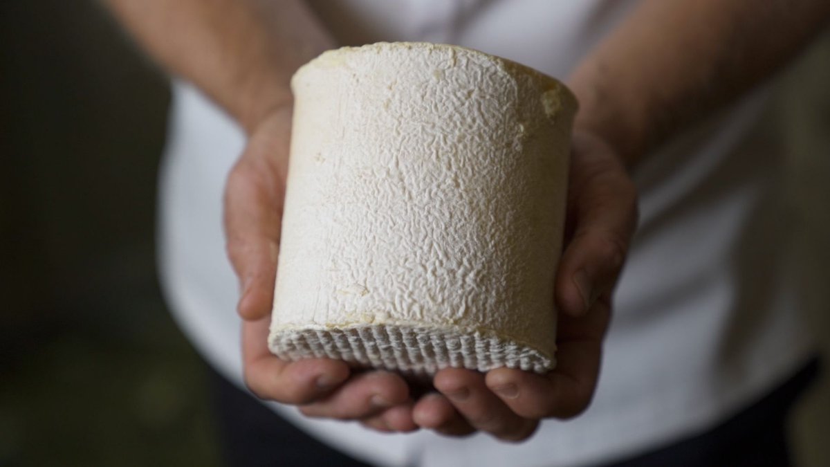 Le fromage sauvé des eaux 
<a href="/DumasJulien/">juliendumas</a> nouveau chef du <a href="/SaintJamesParis/">Saint James Paris</a> à Paris, nous parle d’un fromage de son enfance, le persillé de Tignes, et de l’engagement nécessaire des chefs pour l’environnement et la biodiversité.
to.relais.com/PersilledeTign…