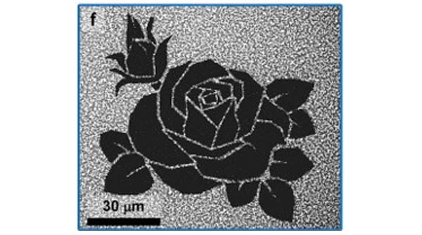 Advanced Portfolio News (@advportfolio) on Twitter photo This nanoparticle based design allows mask free templating of MOFs with incredible precision <a href="/TricoliAntonio/">Antonio Tricoli</a>
Read the article: ow.ly/aOo350GopgY This nanoparticle based design allows mask free templating of MOFs with incredible precision <a href="/TricoliAntonio/">Antonio Tricoli</a>
Read the article: ow.ly/aOo350GopgY