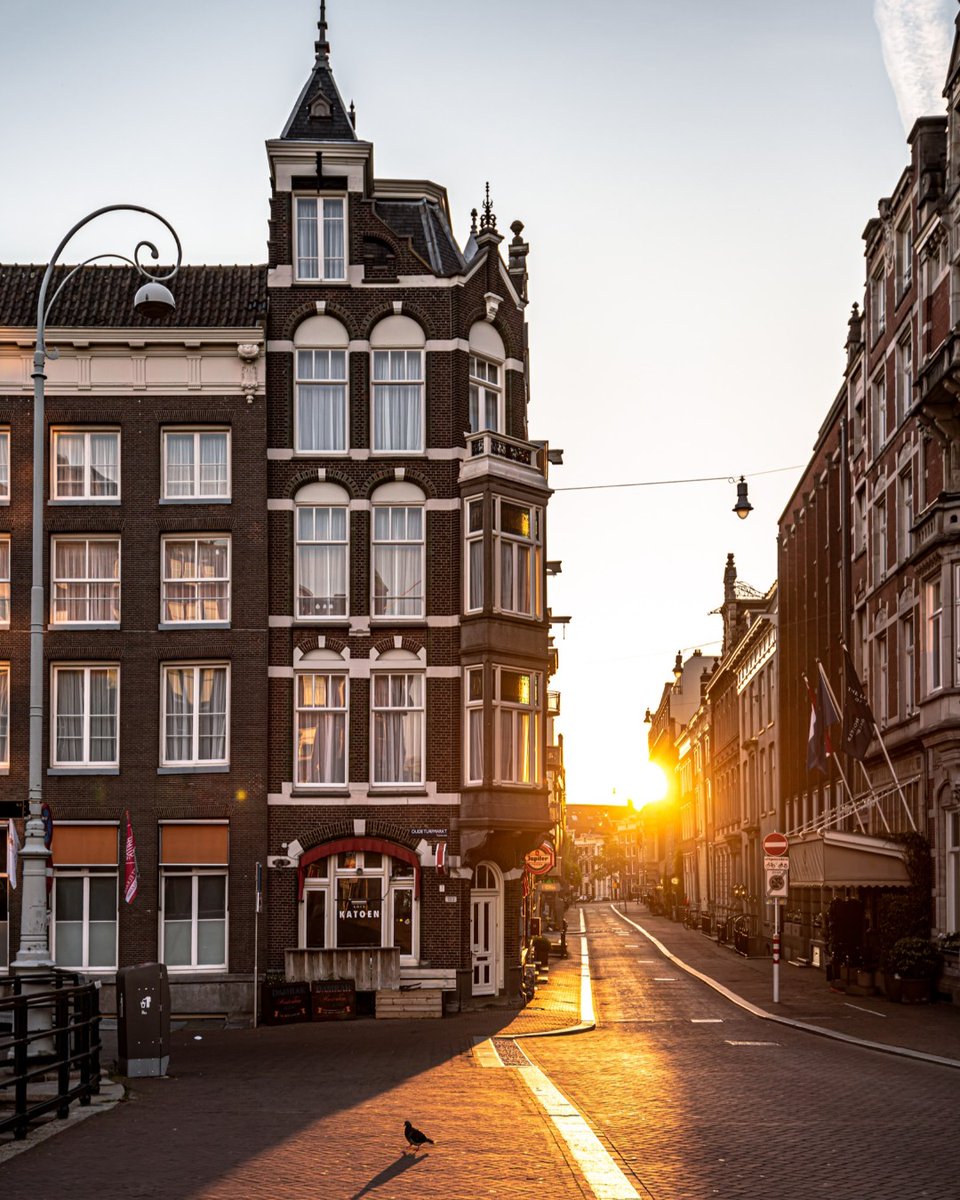 Amsterdam, who knew you could be so quiet and peaceful ☀️