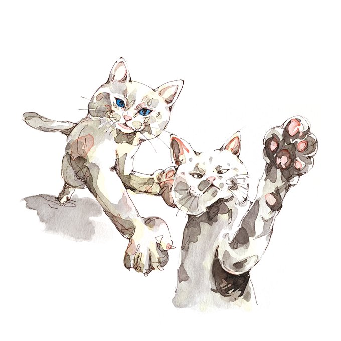 猫パンチのtwitterイラスト検索結果