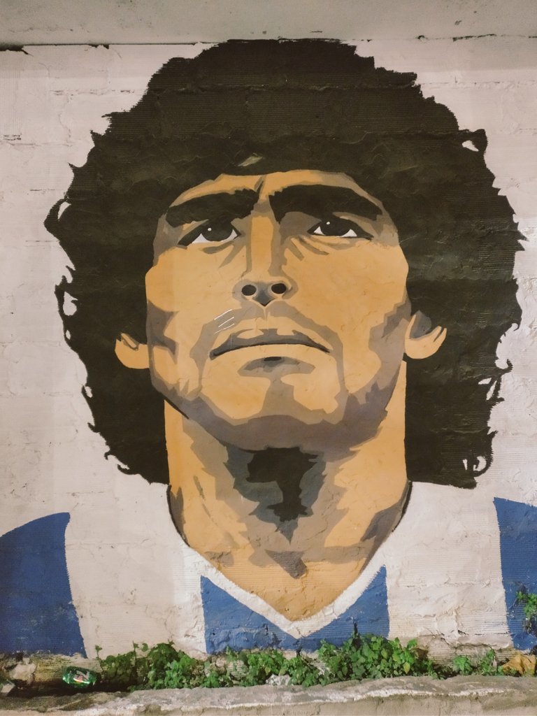 Soberania argentina,
banderas blancas y celestes