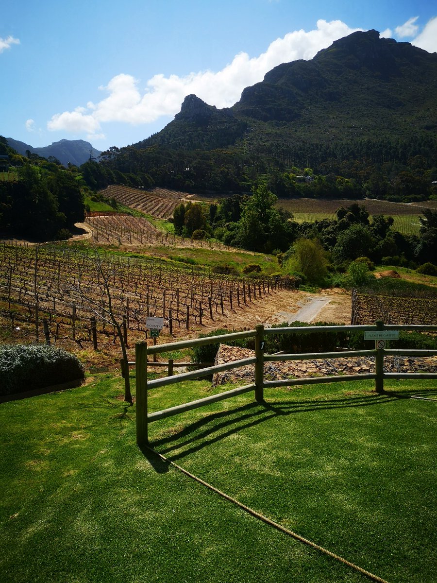 TheChadAnthony1's tweet photo. Yesterday in a nutshell at @ConstantiaGlen 🍇 https://t.co/aRSHCoRp85