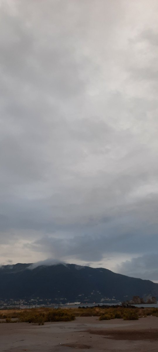 anpad77's tweet photo. Anche oggi è andata..sfidando la 🌧 #running #iocorroqui @runlovers  https://t.co/MTPlMAIUl4 https://t.co/8PyzedJEYU