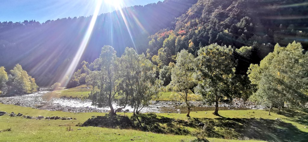 Els #colorsdetardor 🍁🍂 comencen a despuntar al #PNAltPirineu. Un magnífic espectacle natural que mostra els fruits de la roda anual de la vida a l'alta muntanya 🏞️.
📷 1a la coma de Perosa amb el Port de Salau i el pic de Gel al fons.
2a Reserva Natural del Noguera Pallaresa