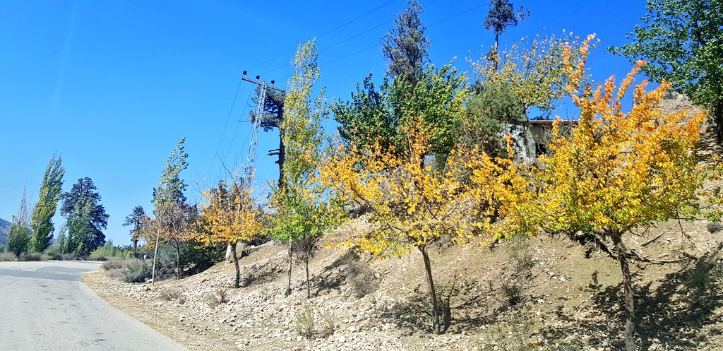 zabulistan_'s tweet photo. "People have an October as well."
#octobercolors https://t.co/bBZGiM7FOG