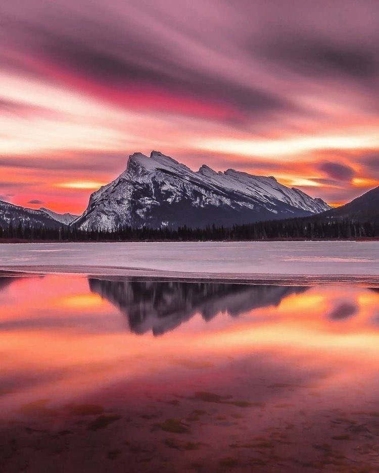 💫☀️Happiness is a delightful heart✨🌼 🍁🌾🍂 🌞Fabulous Sunday🌟 ⭐️💫 #NaturePhotography #Nature #NatureForLife 📸©️Mark Jinks; Banff Alberta 🇨🇦