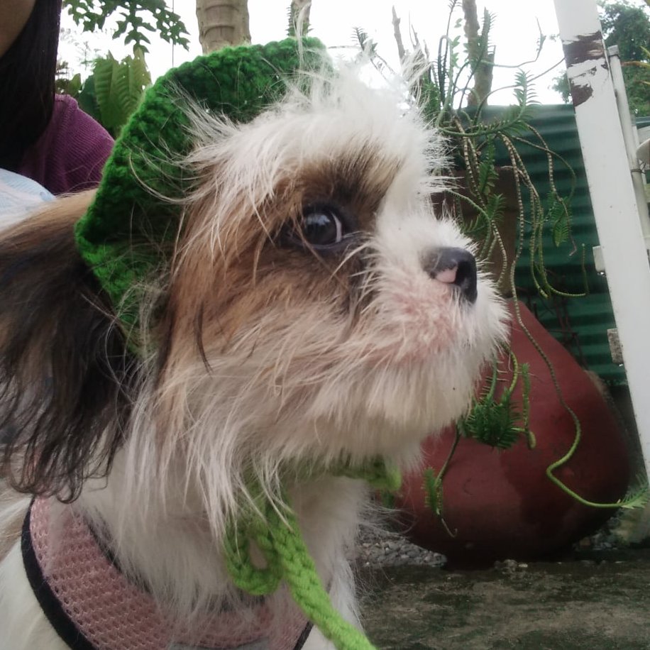 kehlaaaresh's tweet photo. made her a greeny crocheted hat and mukha na siyang summer hot chick x haciendera??????????  sana all???? https://t.co/8UahUJPEr5