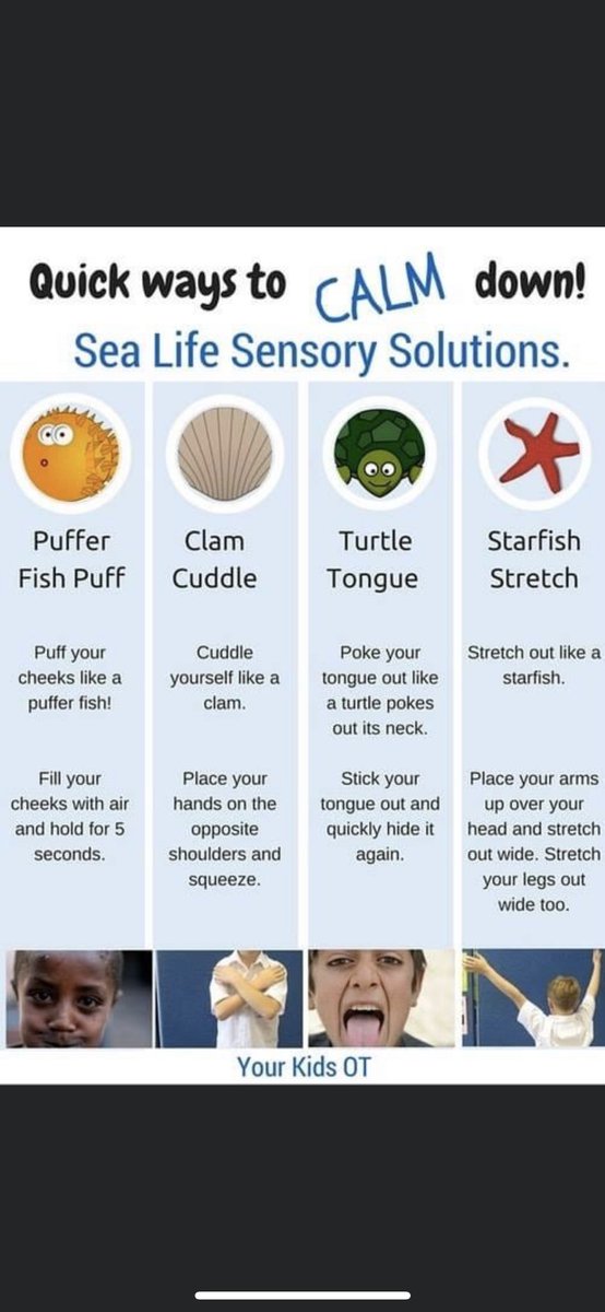 Emily Reeser (@ElementaryEm) | Twitter