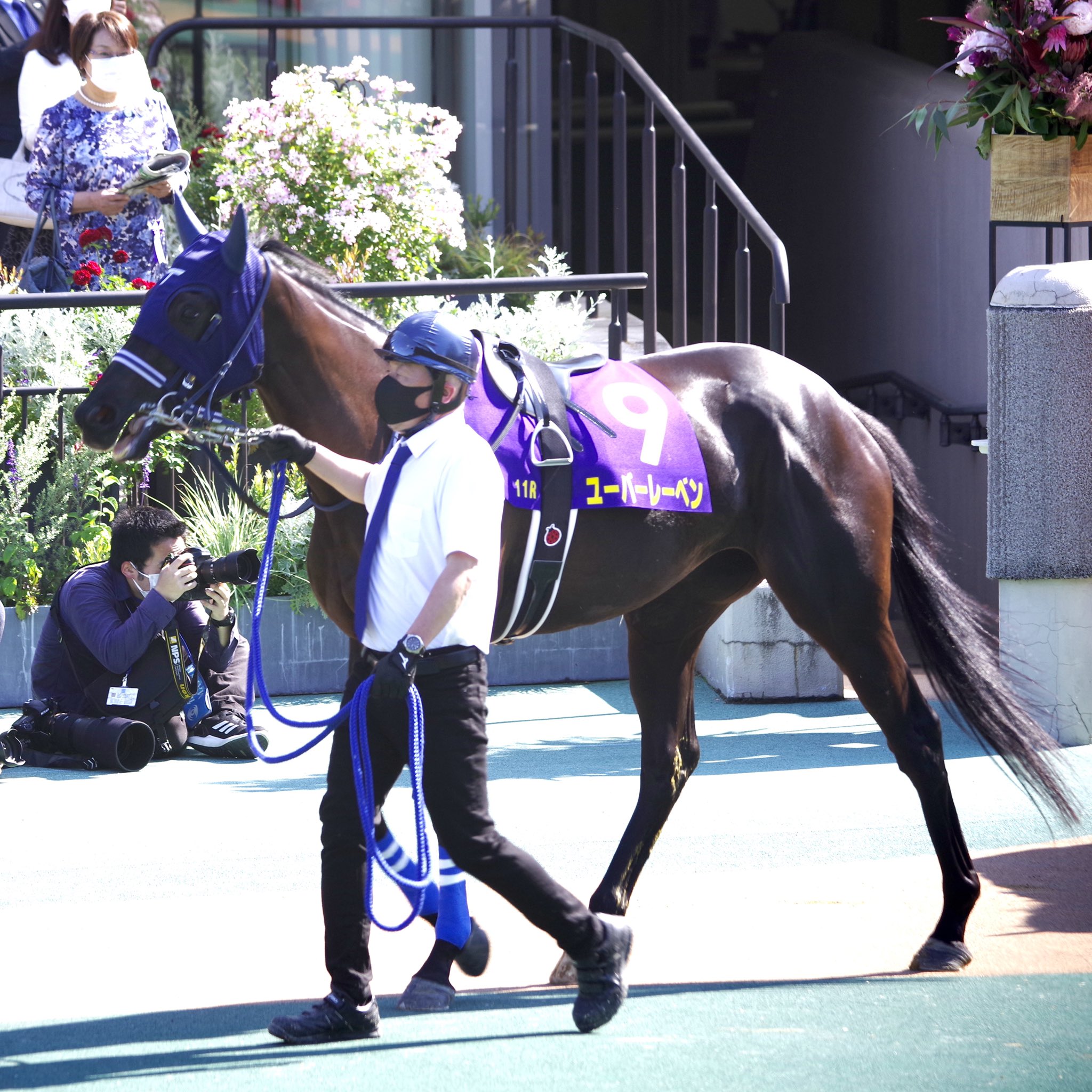 Iuhw 競馬 サークル マイネテレジア兄妹 兄マイネルファンロン 父ステイゴールド 妹ユーバーレーベン 父ゴールドシップ ユーバーレーベン マイネルファンロン T Co Jsfhgnz8co Twitter
