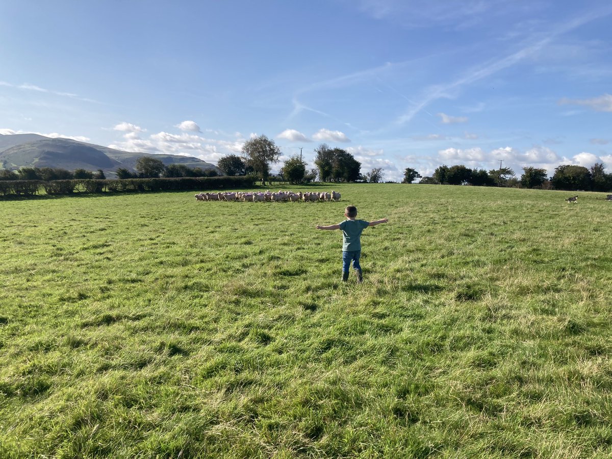 It’s #WorldMentalHealthDay #AgMentalHealthWeek it’s important to do your best, try your hardest and know you can’t please everyone all of the time. #food #farming #family