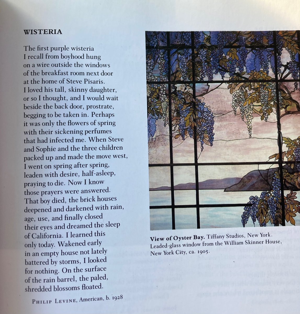 ChloeZonis's tweet photo. “Wisteria”~Philip Levine https://t.co/jQFsKvU0Jw