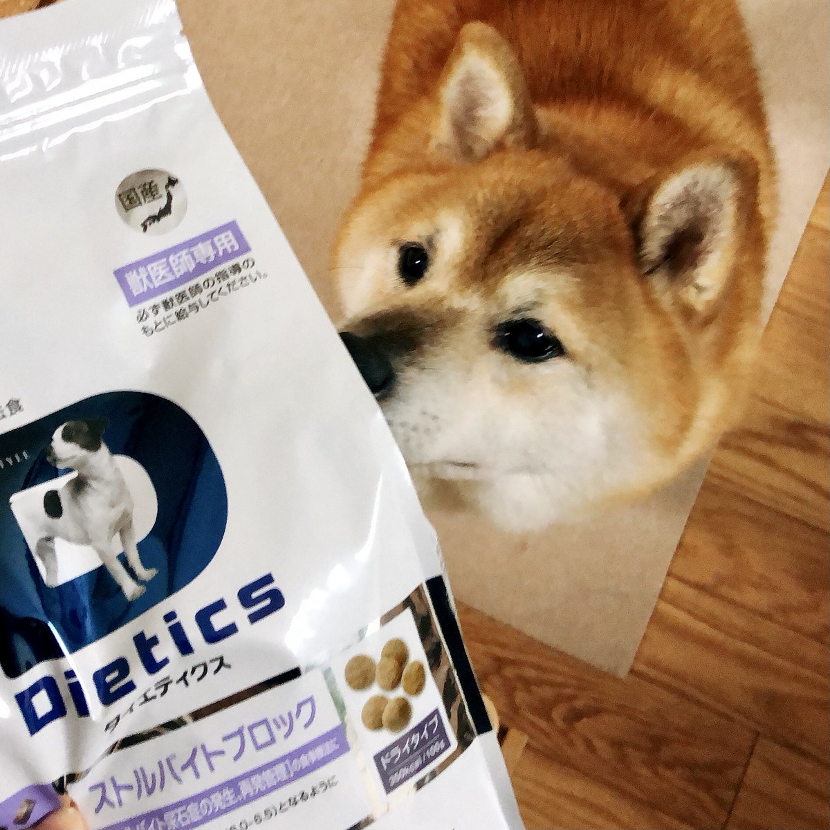 Yuki Shigemoto 療養食を数種類試して良いフードに巡り合い ストルバイト結石 ゼロを更新しています 猫ちゃん用も出ているのでお困りの方いらしたら ペットライン ストルバイトブロック 動物病院でのみお取り扱い有 T Co Fu6iu9wxhj 柴犬