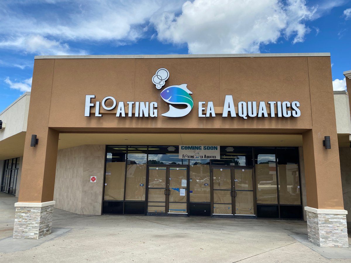 Floating Sea Aquatics atelieryuwa.ciao.jp