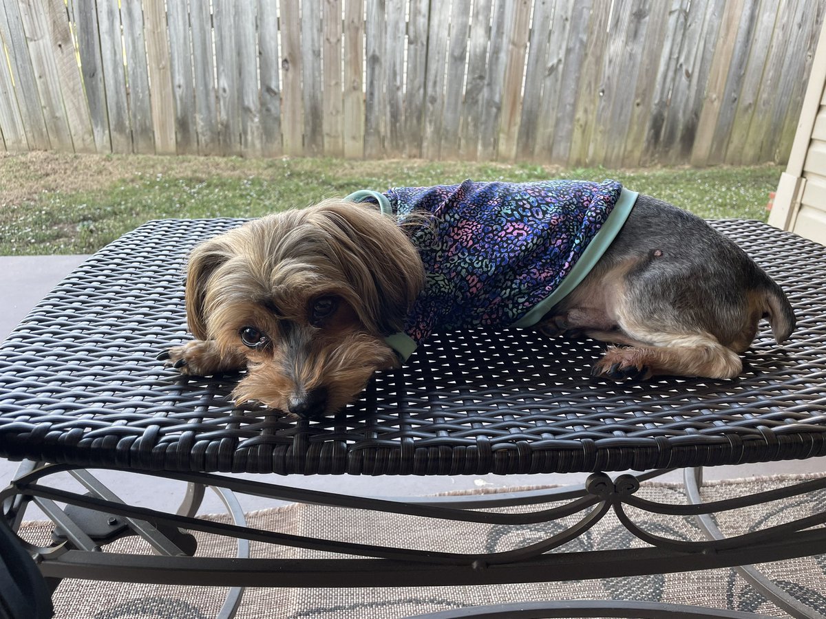 Sunday Morning Vibes.