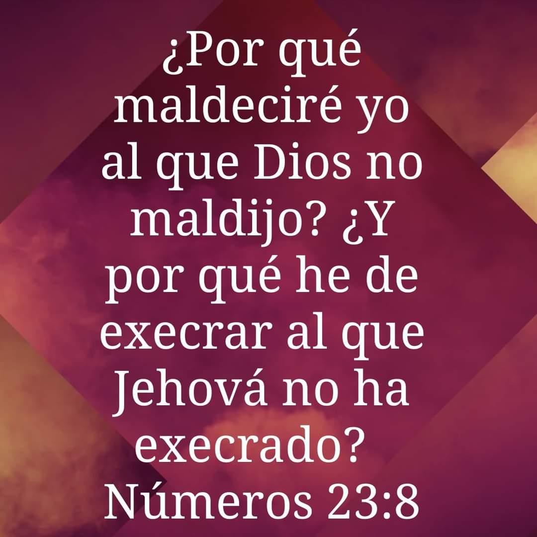 edithgonz1964's tweet photo. https://t.co/VkU1ejPjac