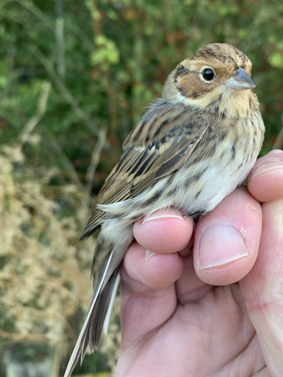 Justin Zantboer tweet media