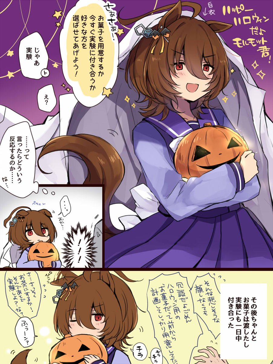 ハ口ウィントレタキ🎃 