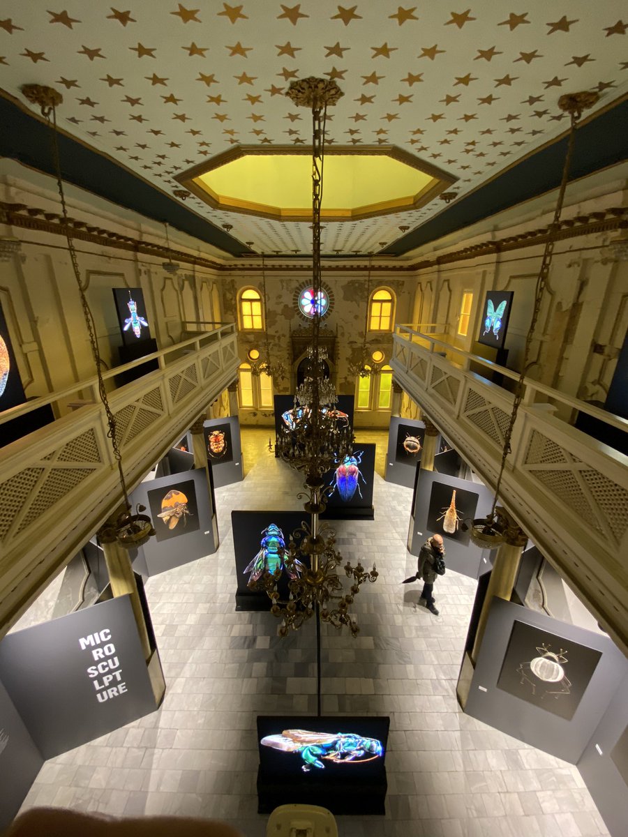 Yeldeğirmeni Sanat, <a href="/MuzeGazhane/">Müze Gazhane</a> ve Zulfaris Sinagogu gibi birbirinden güzel mekanlarda düzenlenen <a href="/212photoist/">212 Photography Istanbul</a> sergilerini gezmek için yarın son gün.