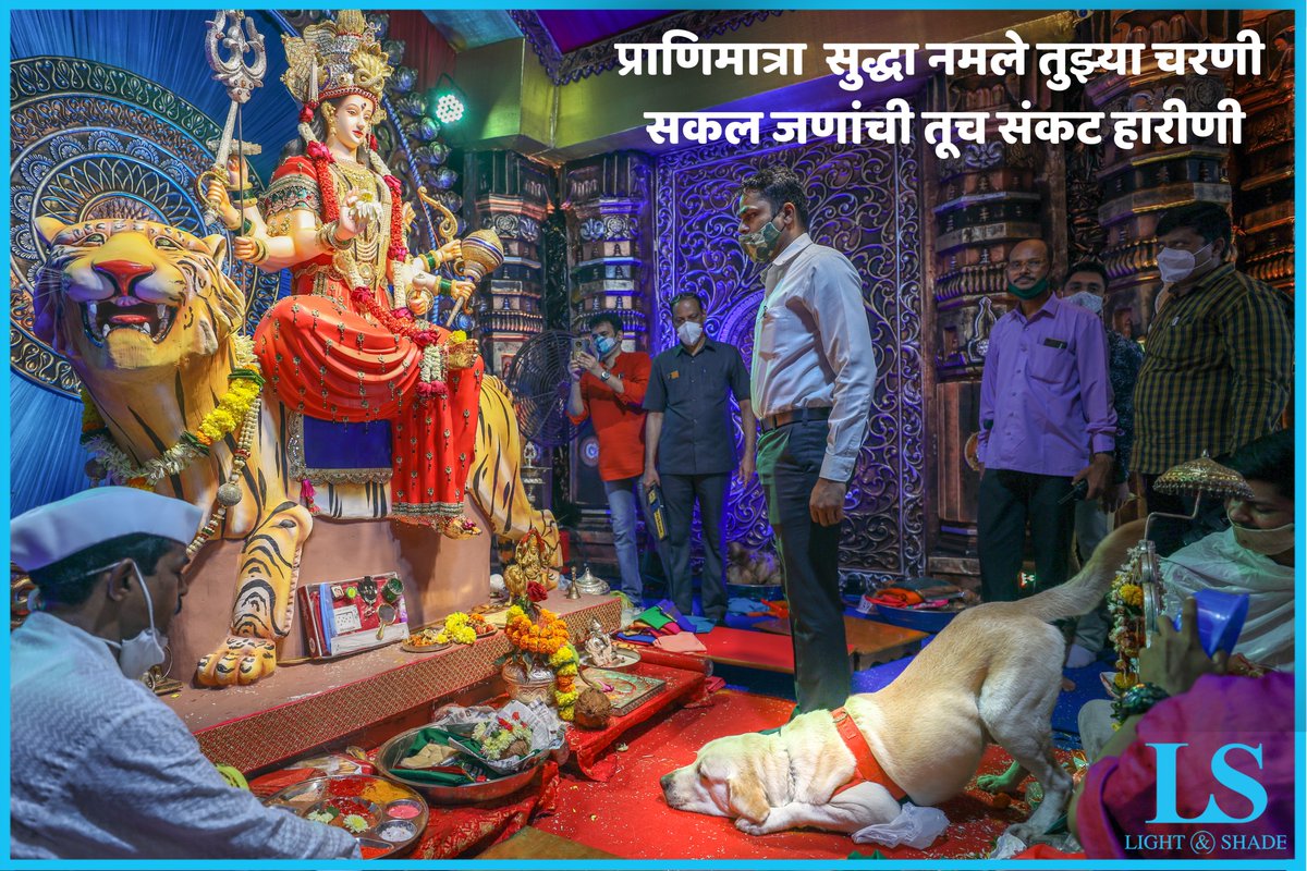 LnSVenueExperts's tweet photo. प्राणिमात्रा सुद्धा नमले तुझ्या चरणी, सकल जणांची तूच संकट हारीणी !

#PicOfTheDay #ठाण्याचीदुर्गेश्वरी #Navratri  #tembhinakanavratriutsav2021 https://t.co/hPyygonA8s