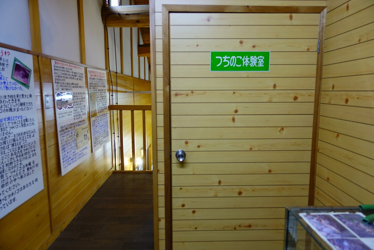 meat_stew's tweet photo. 岐阜県東白川村にある道の駅「つちのこ館」
小さな資料館だが、手書きの目的談など資料の熱量がすごい。
さらに、つちのこ体験室の扉を開けると驚きの世界が…！(続) https://t.co/OysWRmXgj4