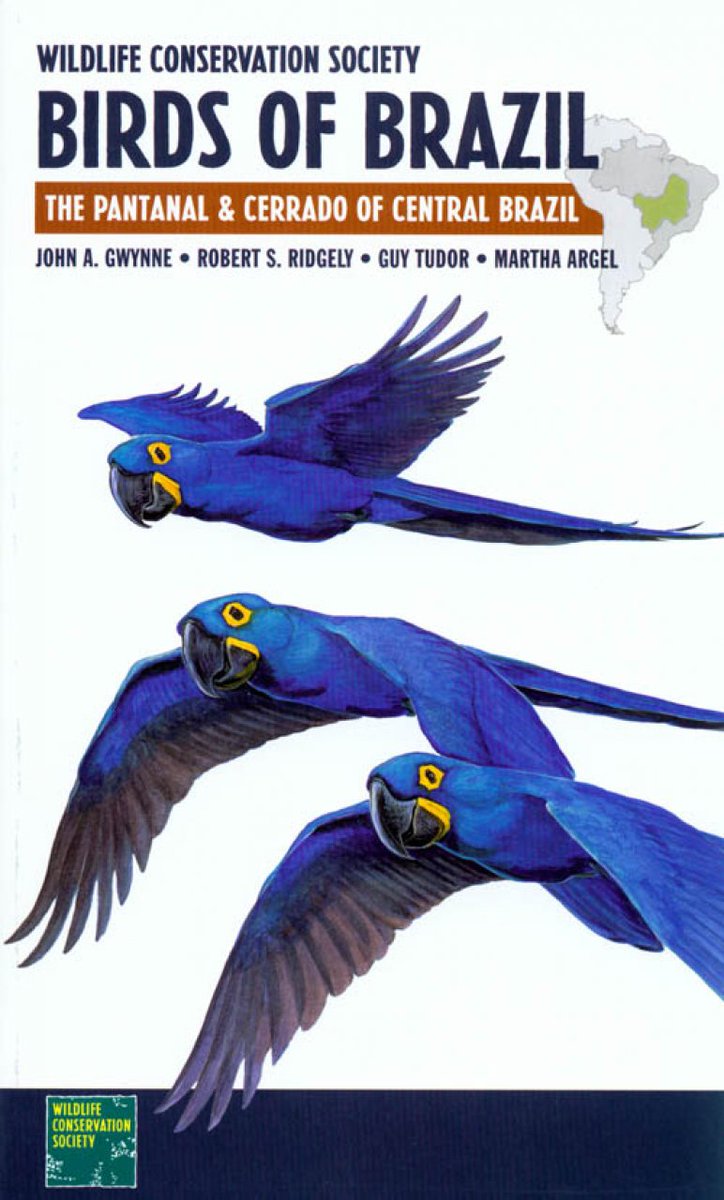 albicilla66's tweet photo. #GoBirding #Pantanal 🇧🇷 #Brazil, the 🌎's largest #wetland: 475 #birds #HyacinthMacaw #TocoToucan 100sp/day, 5days/200birds/20mammals; flight to #Cuiaba & 250km drive to #PortoJofre with c. 25 lodges dotted along: #PousoAlegre, 📷 #PousadaPiuval, #PortoJofre Hotel; timing Sep-Oct https://t.co/J0L3NPKVWP