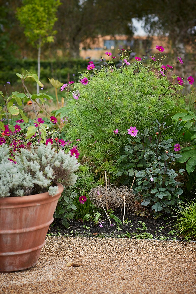 The_RHS's tweet photo. This is #WorldMentalHealthDay, making it the perfect time to pause and reflect on what makes us feel good. 

We know that gardening has a positive effect on both our physical and mental health - what changes are you noticing in nature that make you happy?

https://t.co/nLrq7oCyAq https://t.co/zo0OSF0GND