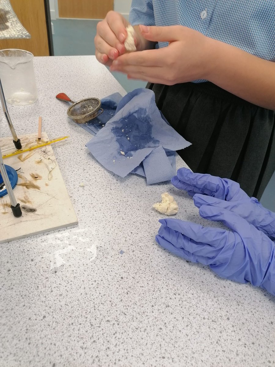 RCS Science tweet media