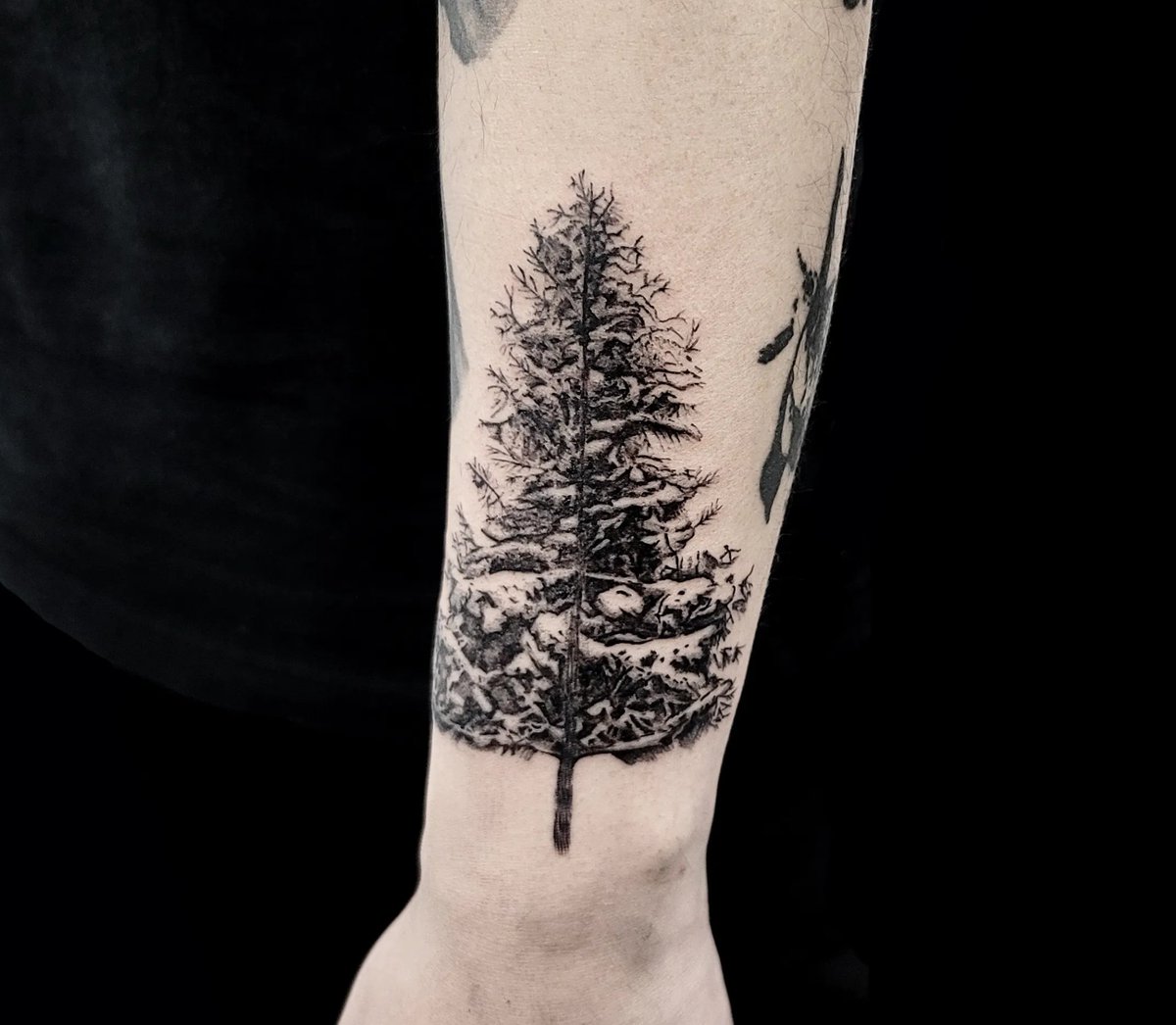 cheddartattoo's tweet photo. 팔 하박 빈부분에 소나무🌲 https://t.co/x8OMSophUy