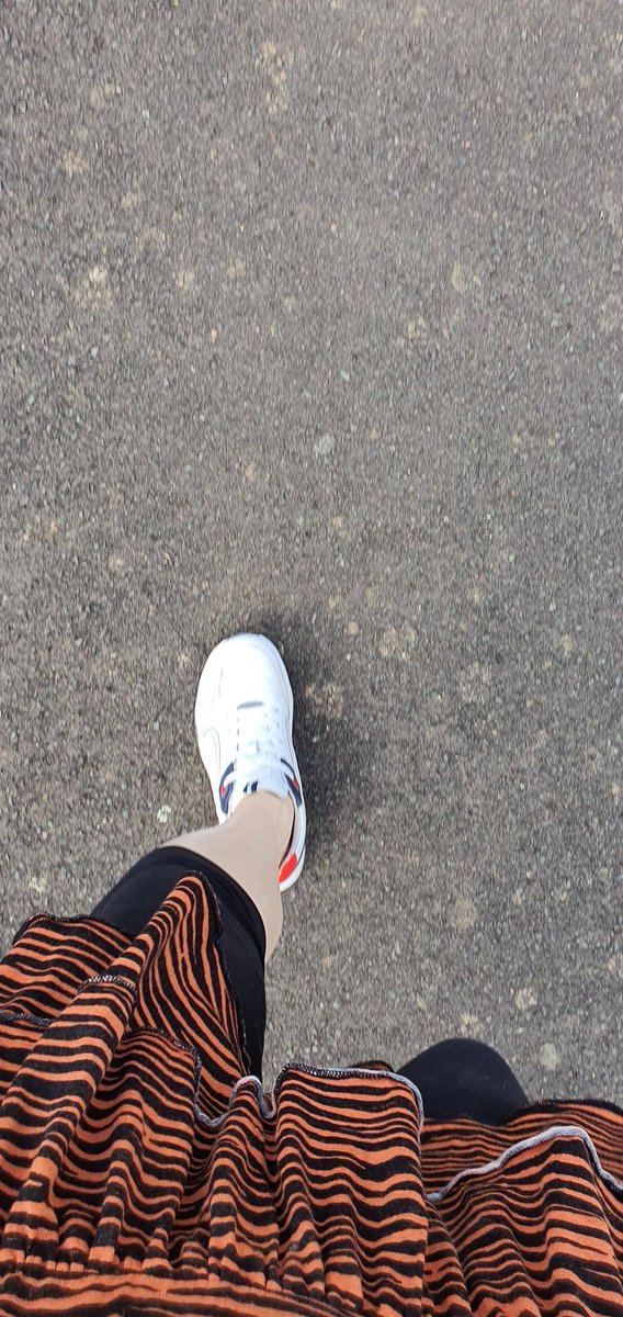 Noomoid's tweet photo. Could it possibly be  singular #FunkyFoot https://t.co/Hj93a24eB5