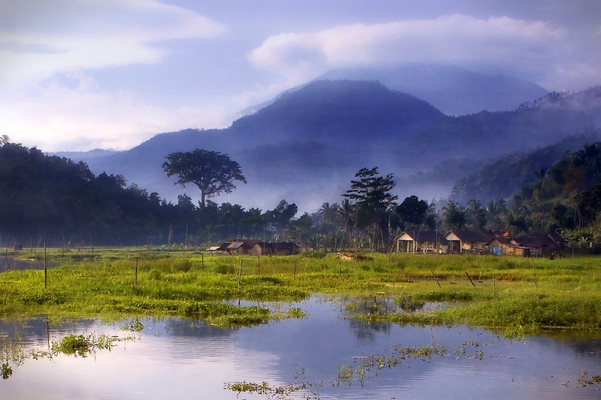 🔥🔥NEW🔥🔥

<a href="/hicetnunc2000/">hicetnunc2000</a> 

"Morning View at Rawa Pening"

hicetnunc.xyz/objkt/409518

#HEN #hicetnunc #nfts #Tezos #tezosnft #NFTCommunity #hicetnunc2000 #OBJKT #cleanNFT #NFTArt #NFTArtist #cryptoart #nftcollector #NFTcollectibles