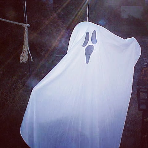 #boo https://t.co/QEDINiXqok