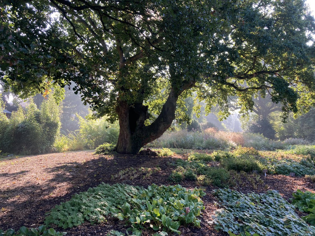 WorldNannys's tweet photo. Fantastic visit @BethChattoGdns yesterday. Obviously made some plant purchases from their nursery ๐ฑ๐ฑ๐ฑ
#garden #flowers #englishheritage #visitengland #eastofengland #TendringMag #VisitColchester #TheGazette
#tripadvisor https://t.co/w8Ku7VoYBQ