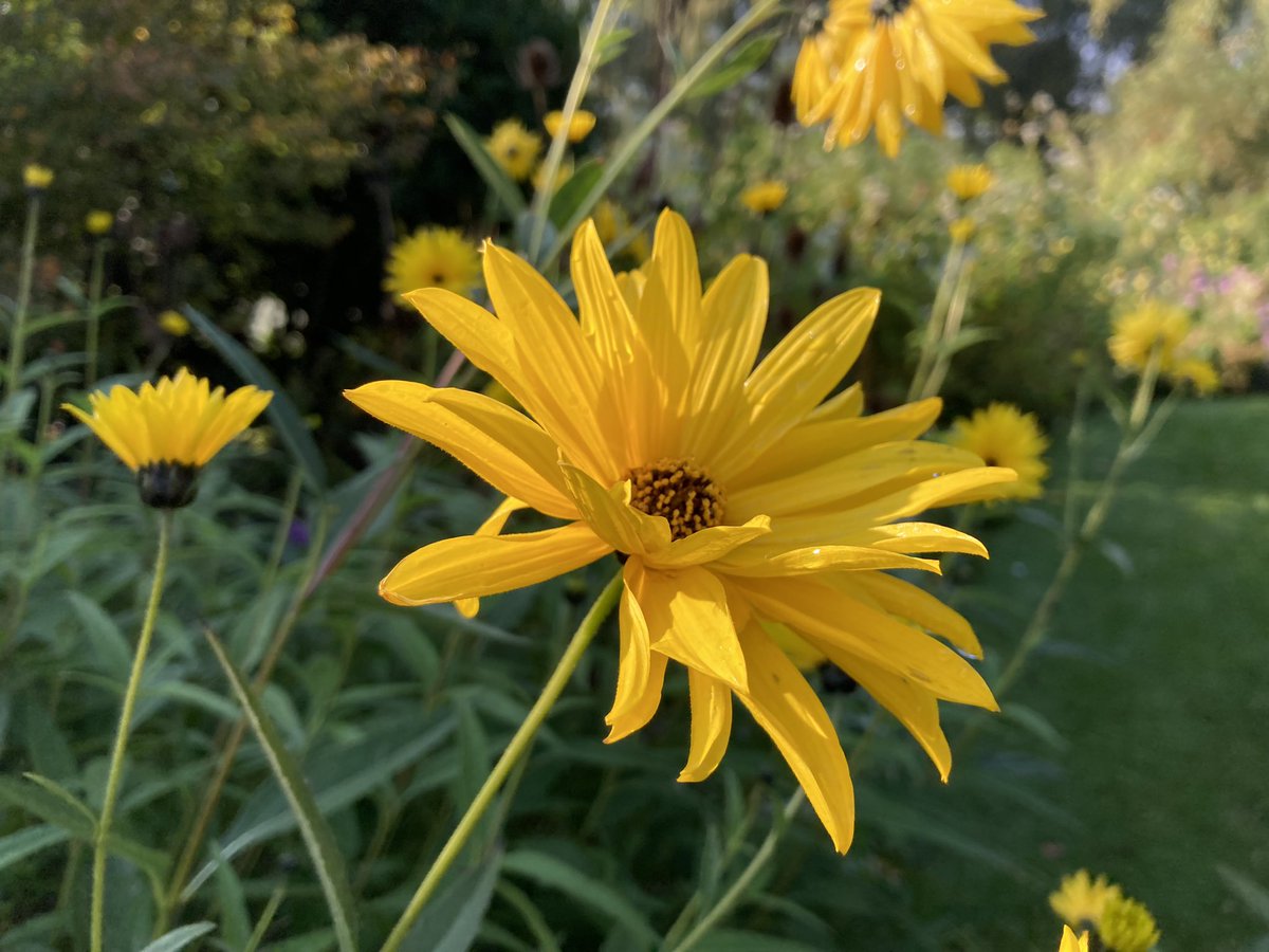 WorldNannys's tweet photo. Fantastic visit @BethChattoGdns yesterday. Obviously made some plant purchases from their nursery ๐ฑ๐ฑ๐ฑ
#garden #flowers #englishheritage #visitengland #eastofengland #TendringMag #VisitColchester #TheGazette
#tripadvisor https://t.co/w8Ku7VoYBQ